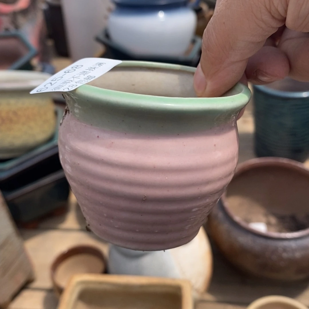 68号多肉盆口径6小可爱