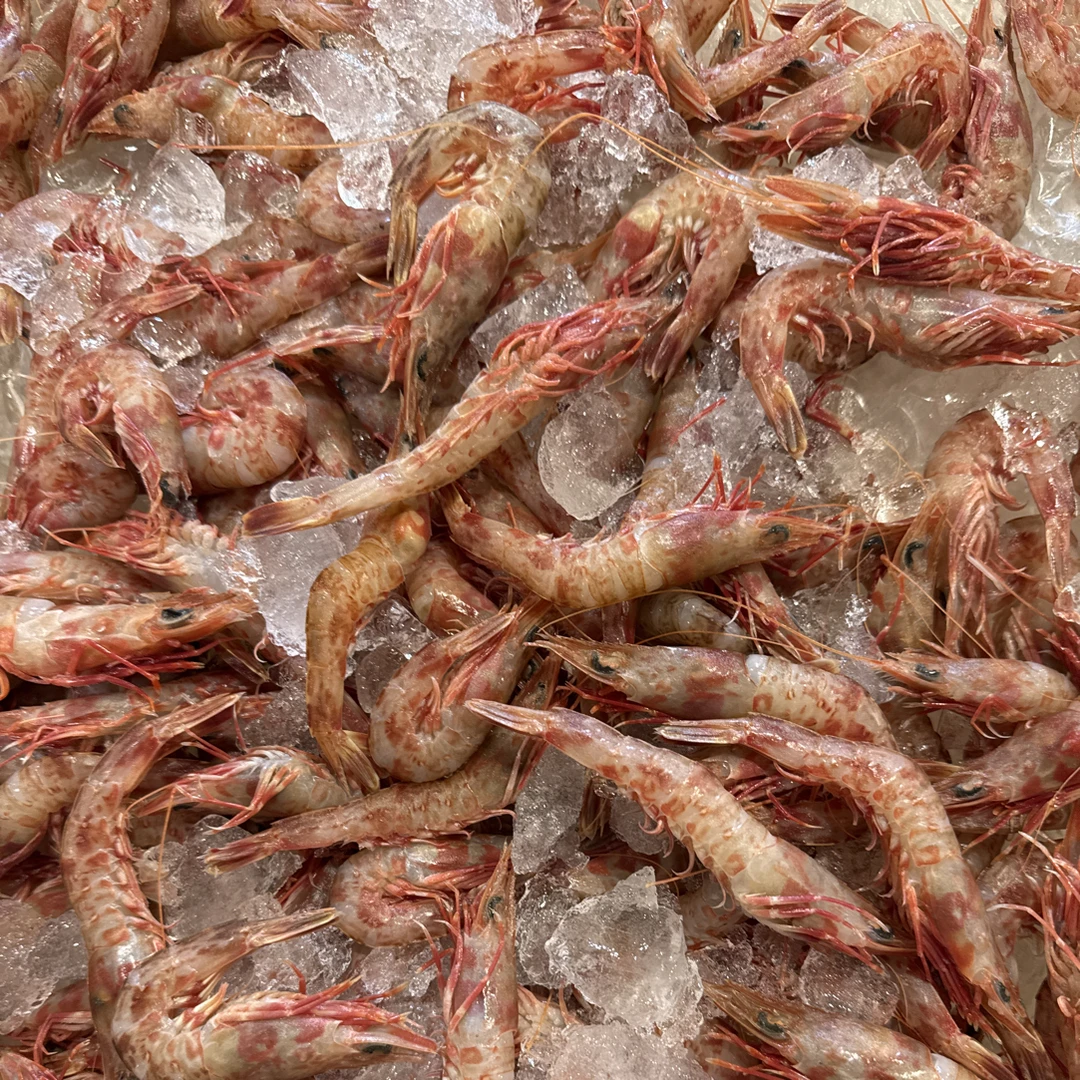 【4斤樱花虾】东海野生海捕顺丰冷链包邮