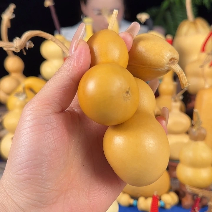 T****大叶紫檀（黑酸枝木类）