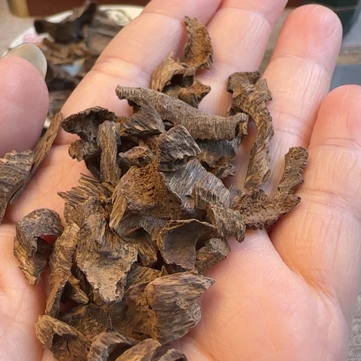 沉香摆件海南野生鸡母虫6克