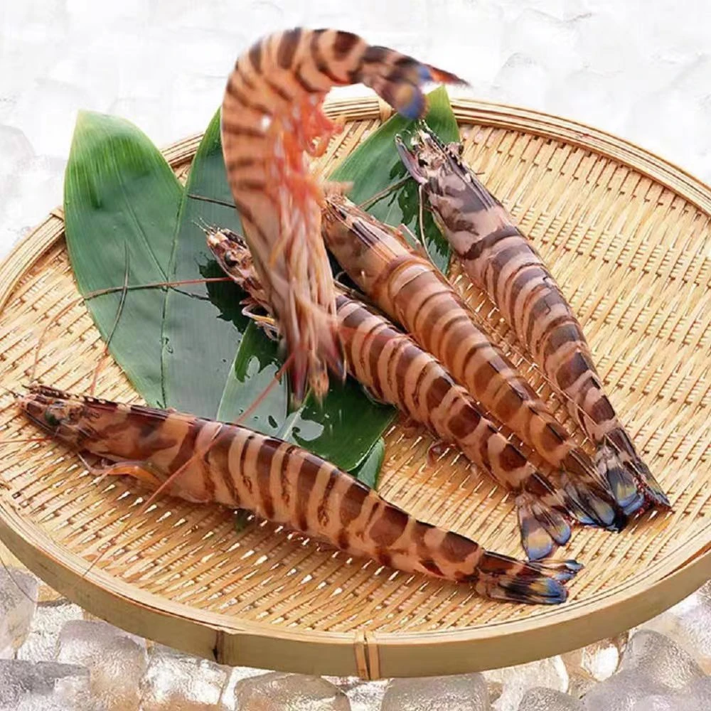 C青岛当地野生斑节虾九节虾花虾.一斤30-40只净重两斤.顺丰