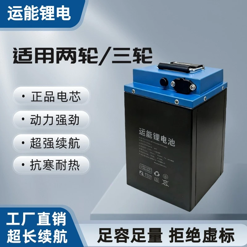 （国轩电芯）B款两轮车磷酸铁锂电池全新A品电芯超长续航 超长寿命