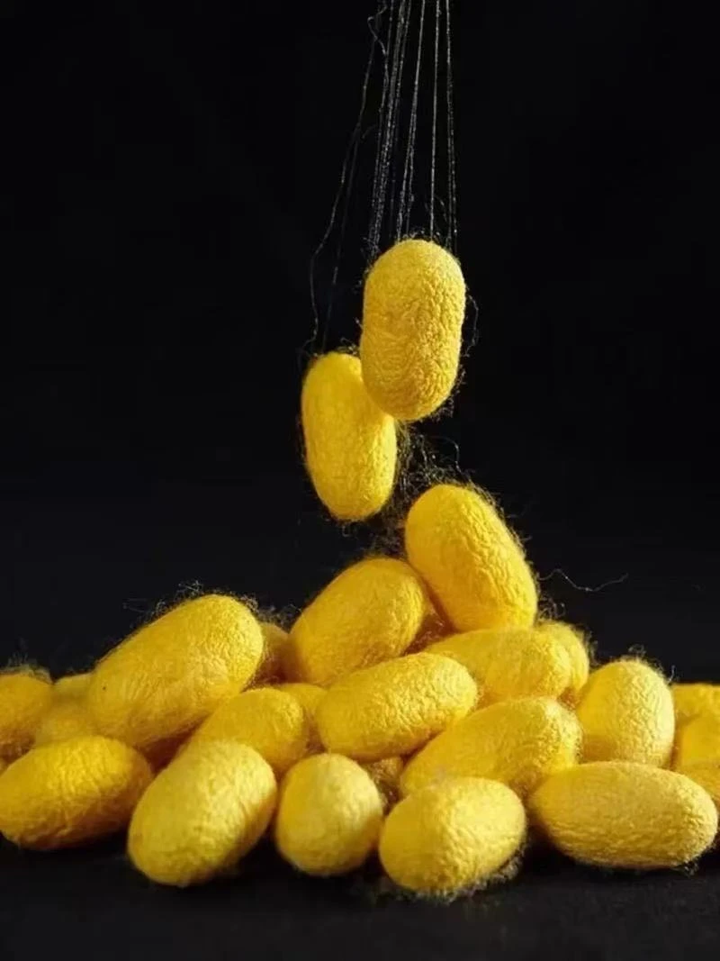 [东方花韵]纯蚕丝子母被