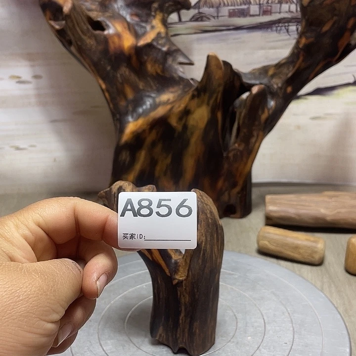 荡***心木直播间木质摆件