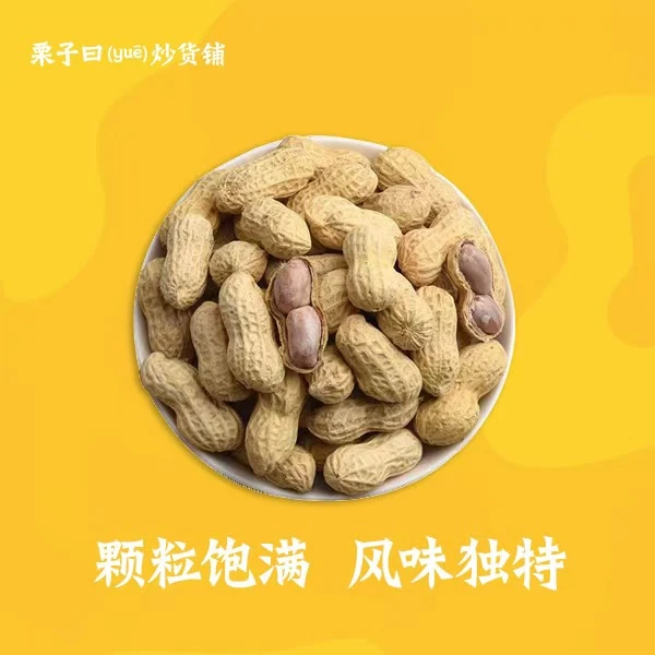 栗子曰蒜味花生250克/500克