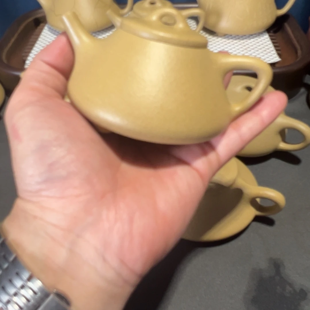 天***南茶壶紫砂光素小子冶