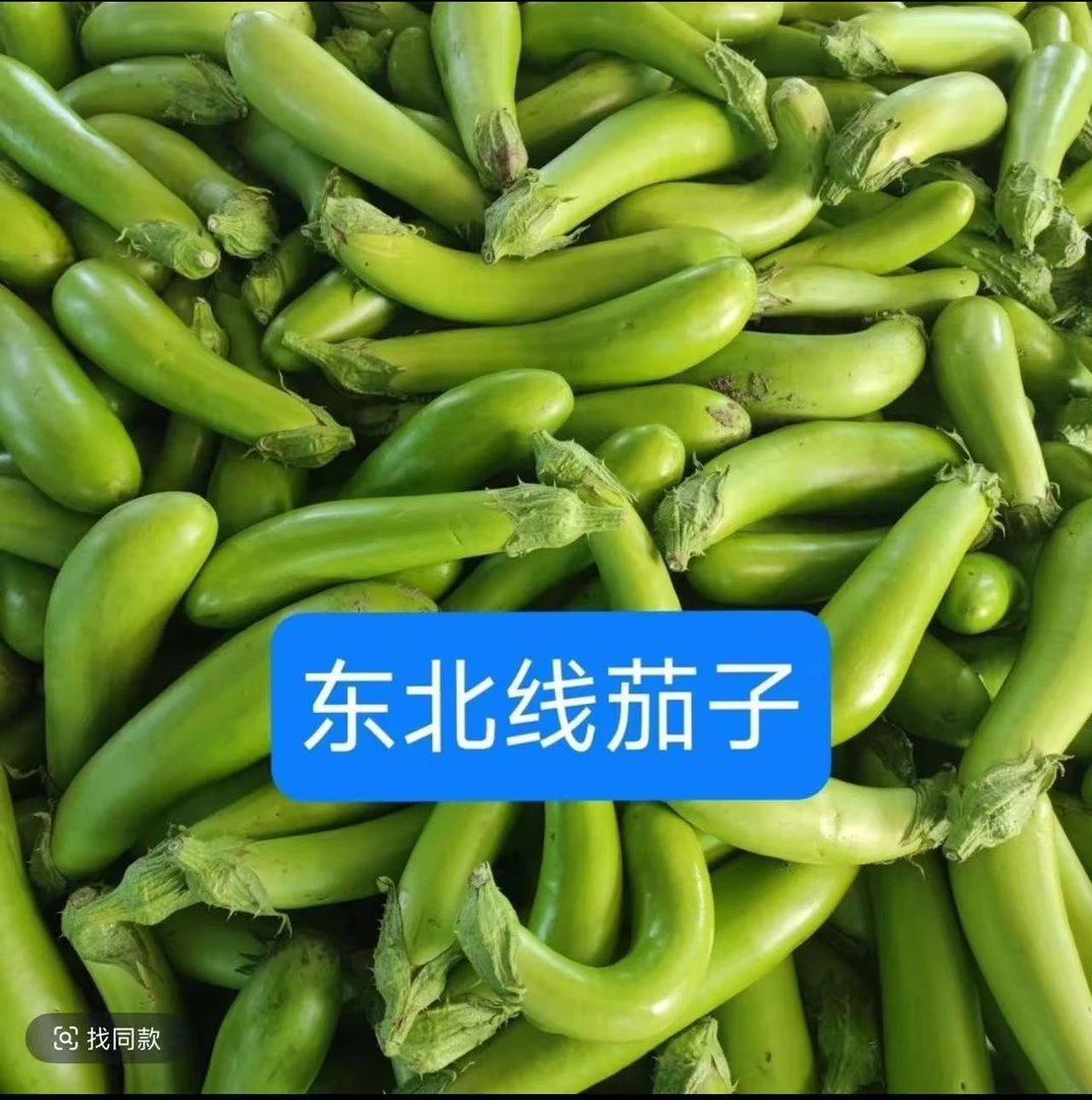 东北新鲜现摘茄子9斤顺丰包邮