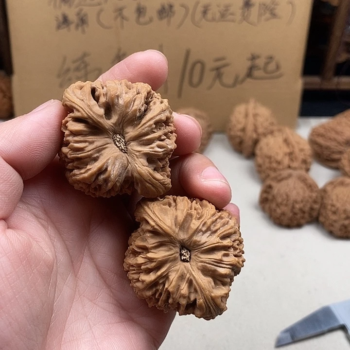 墩****龙脊菩提吊坠72.72.72.72.72