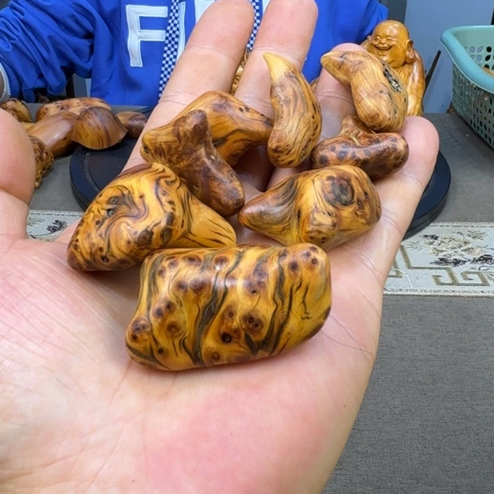 柏木（崖柏）太行崖柏