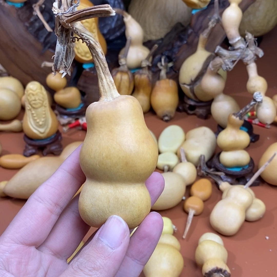 钟***南教练咯教练咯教练咯教练咯