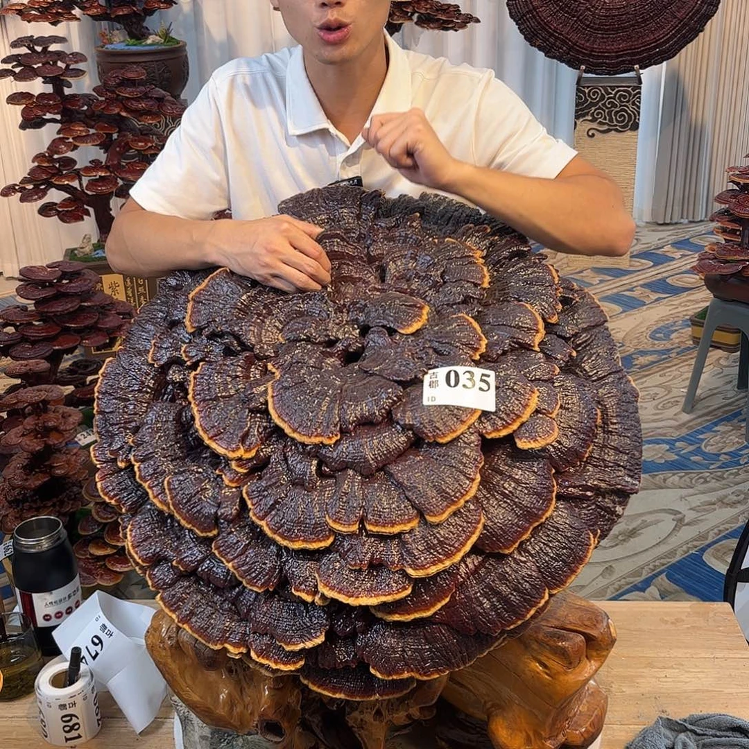 全部花朵888888888888