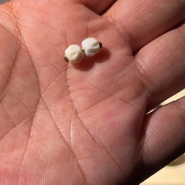 静***檀琉璃/树脂/塑料类百香弟子珠