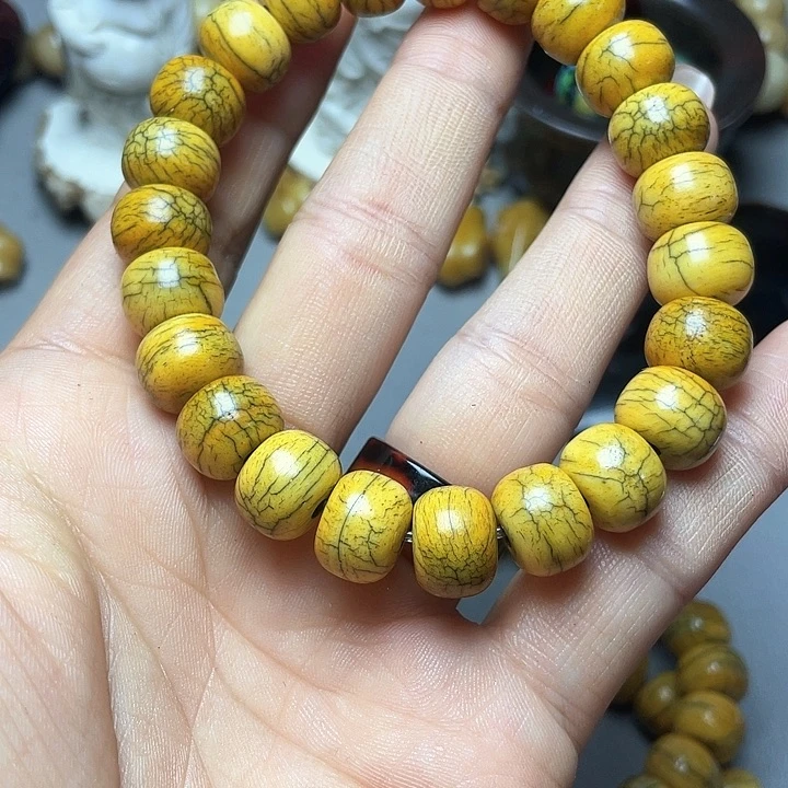 大果紫檀（缅甸花梨）