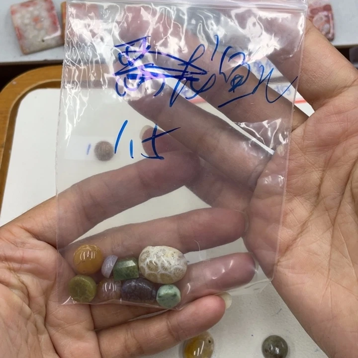 鱼***游硅化珊瑚（珊瑚玉）合金颈饰