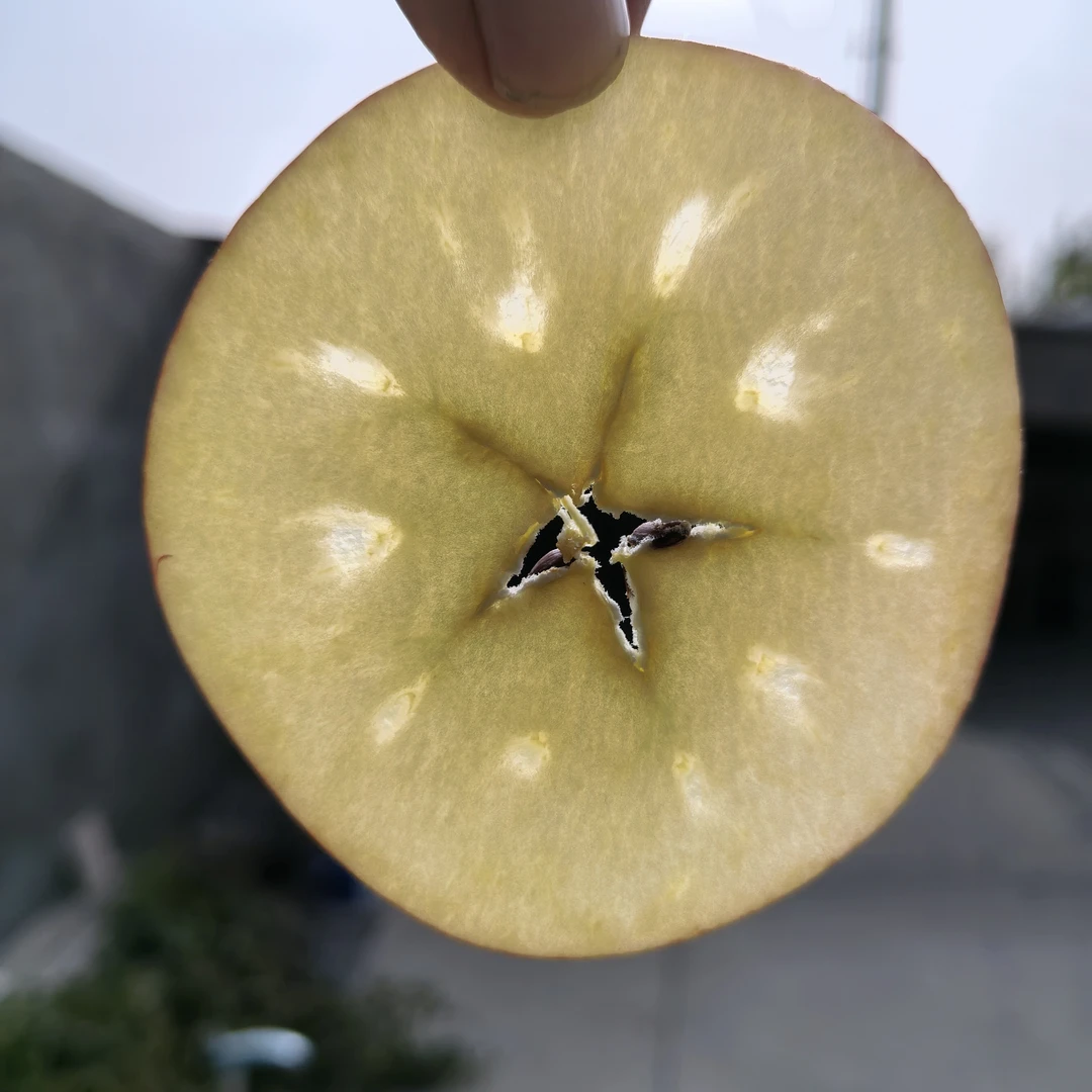 新疆阿克苏糖心苹果新鲜当季脆甜多汁整箱包邮