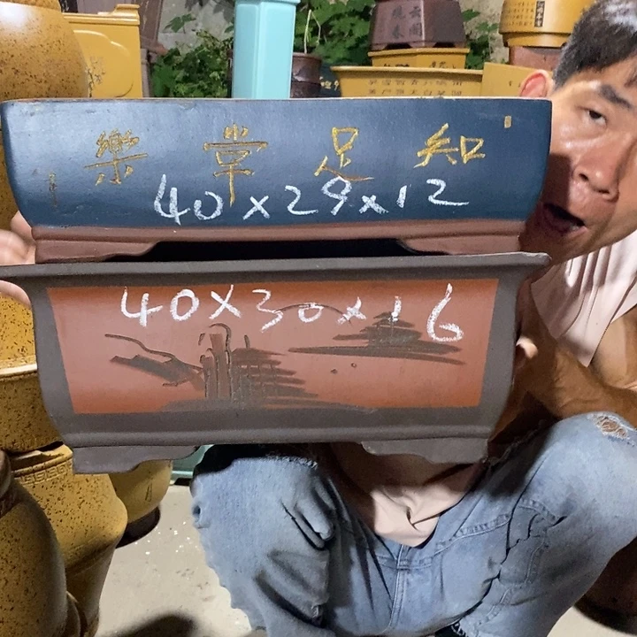 紫砂紫砂紫砂紫砂