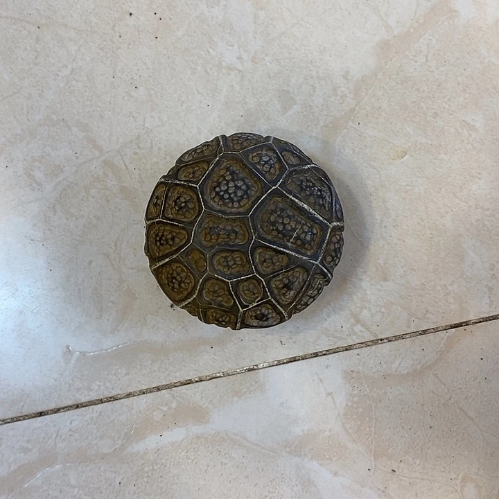 小***香有机玻璃龟纹手把件