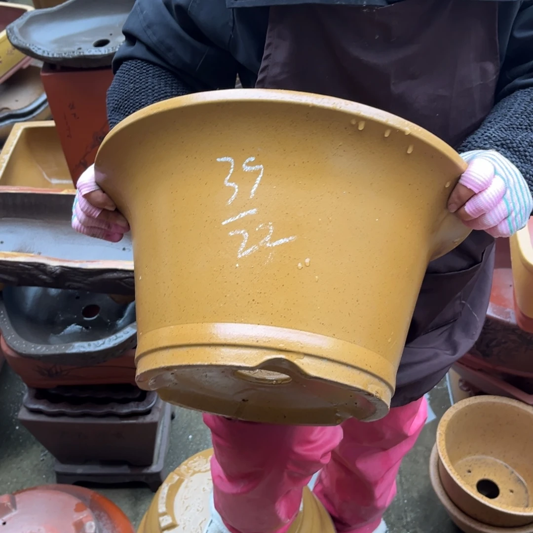 花盆紫砂盆景艺术