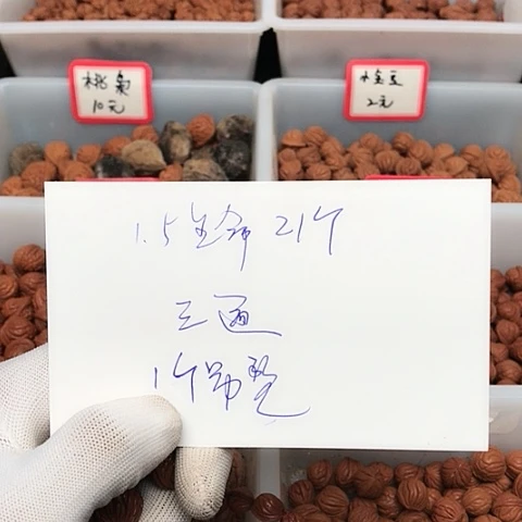 桃核吊坠胡****年龙纹桃核的搭配
