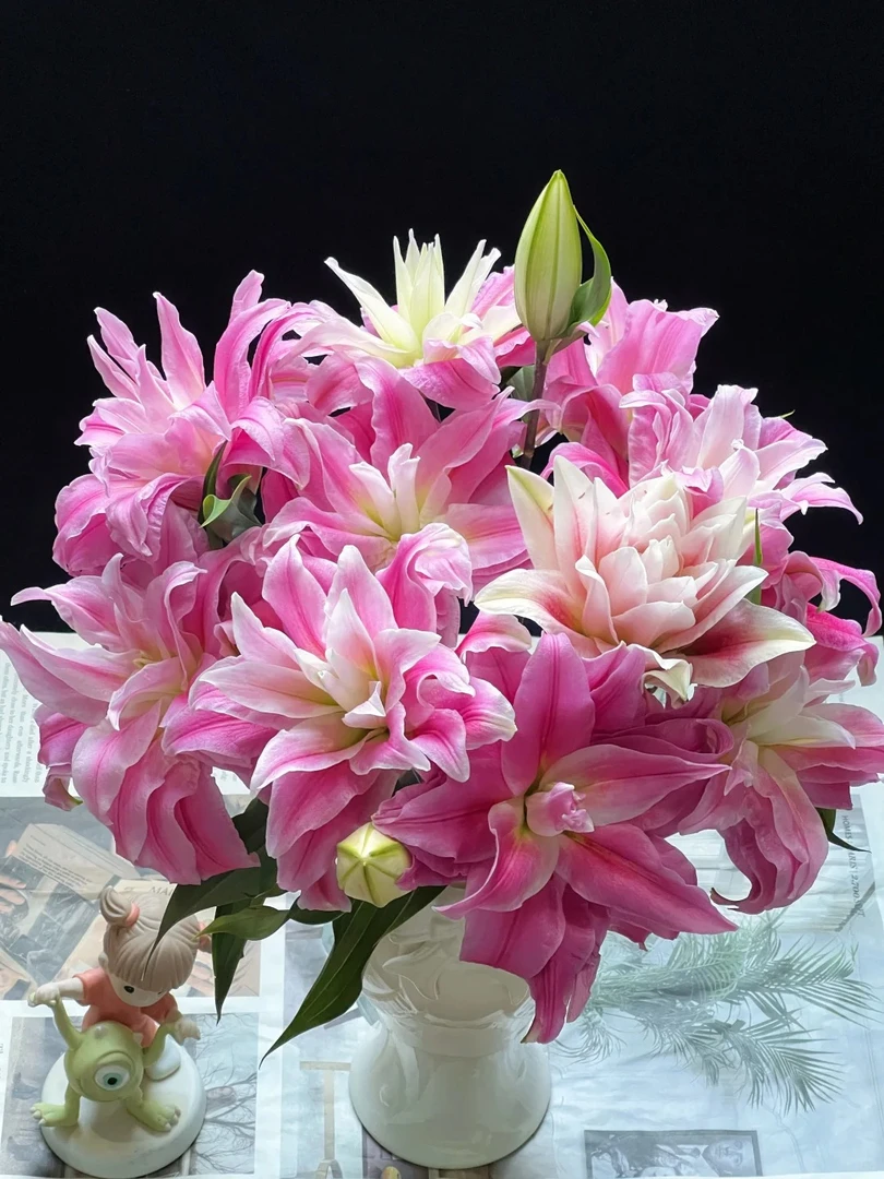 鲜花【红丝带重瓣百合】同地址两单及以上顺丰或德邦包邮+配草