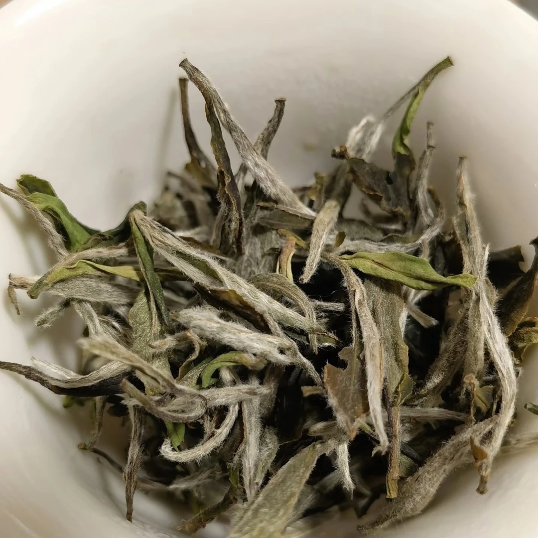 福鼎白茶（茶中仙子）白牡丹