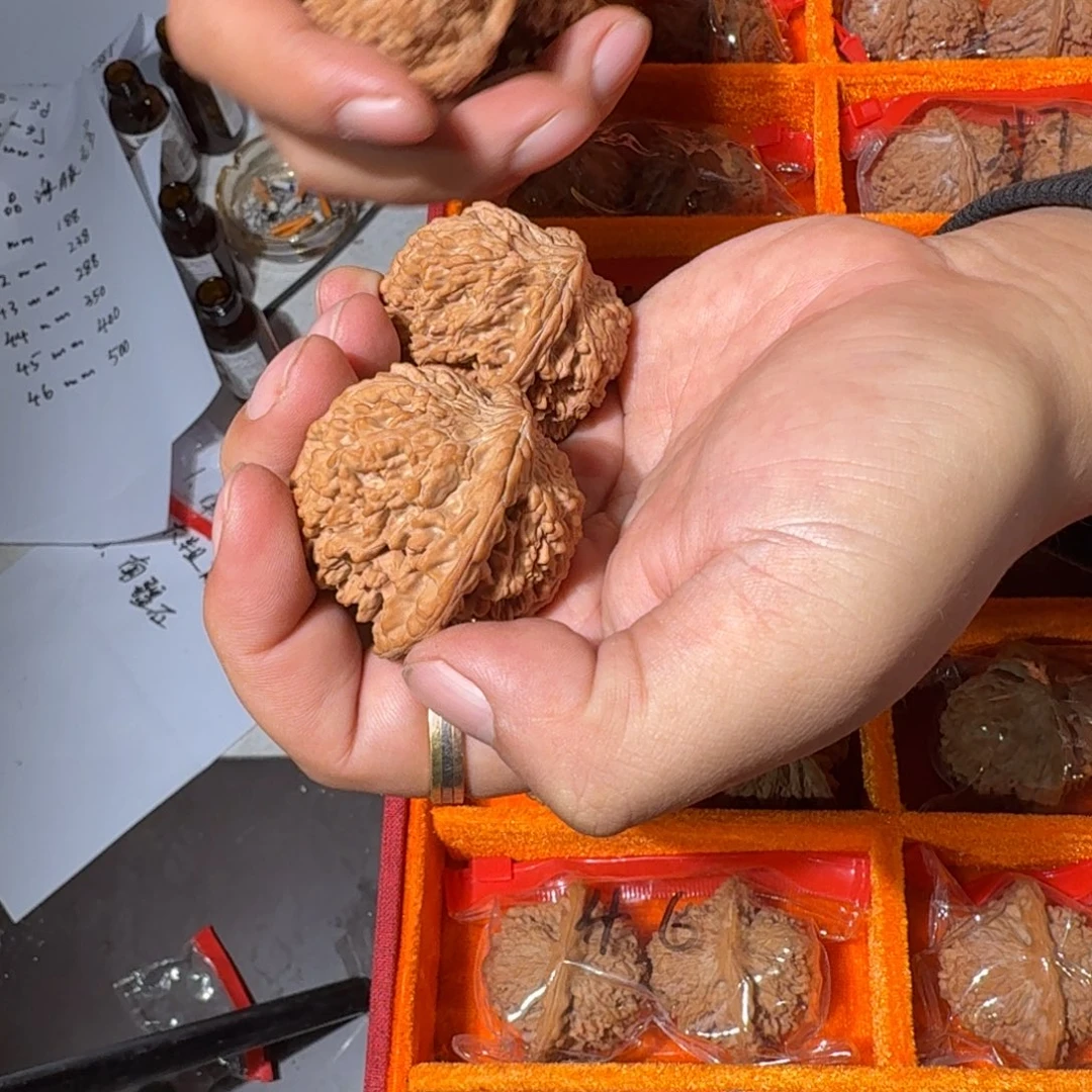 把件文玩核桃1022号46-48mm全品满天星