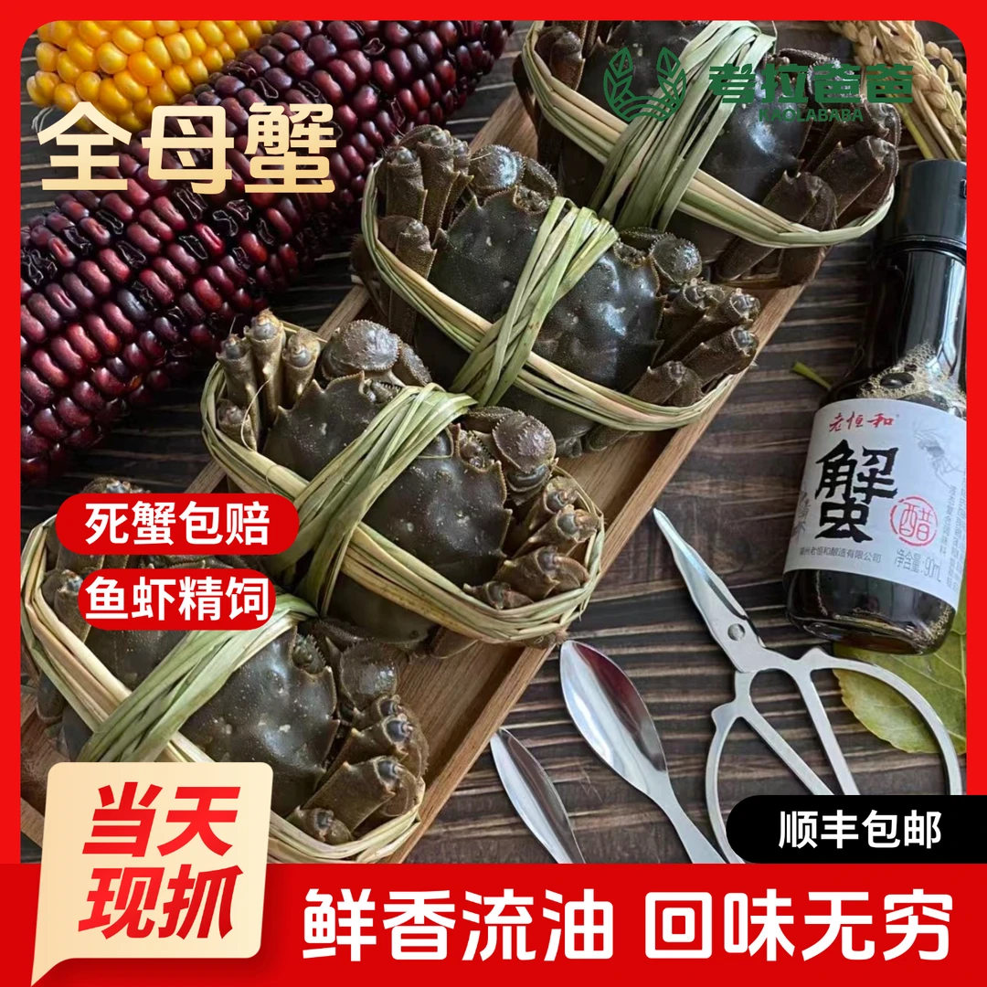 【活蟹】大闸蟹辽河蟹  母蟹 （2.8两-3.1两） 8只