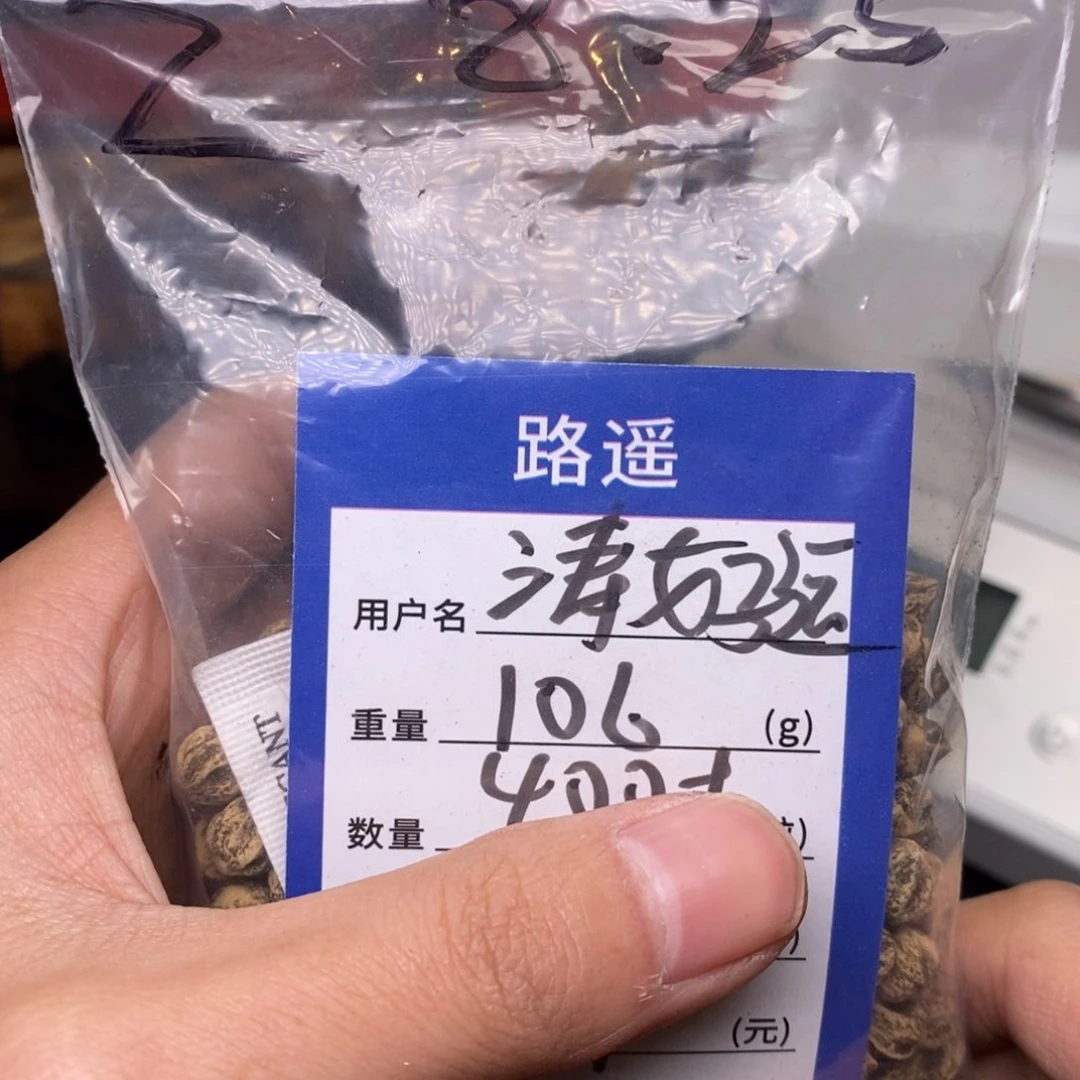 柏香籽/百香籽吊坠涛*运