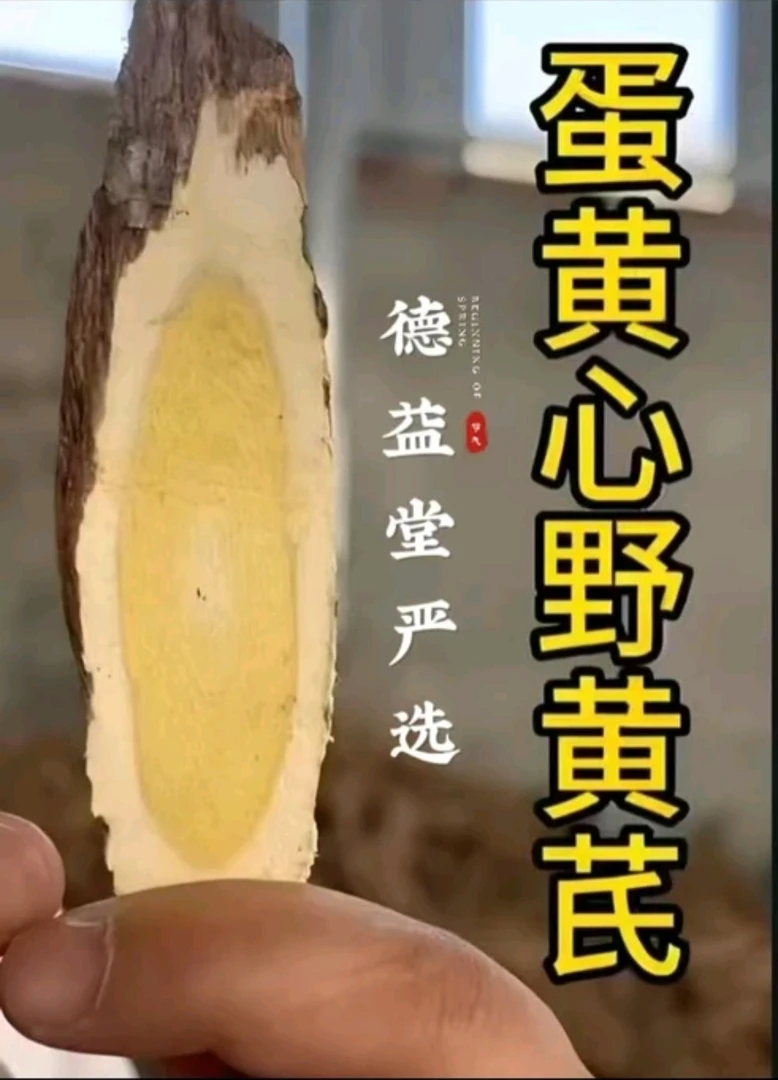 甘肃岷县老黄芪三十年生蛋黄心主根切片，可煲汤、煮水、炖肉