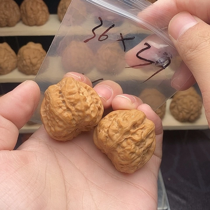 核桃蛤蟆头36边39肚