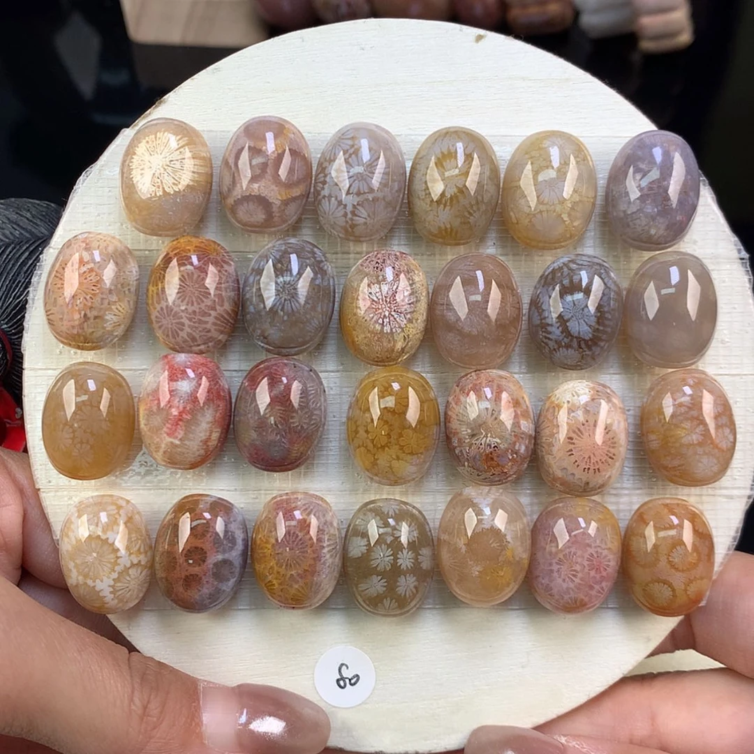 【闪购商品】颈饰未镶嵌硅化珊瑚（珊瑚玉）上新龟背85号