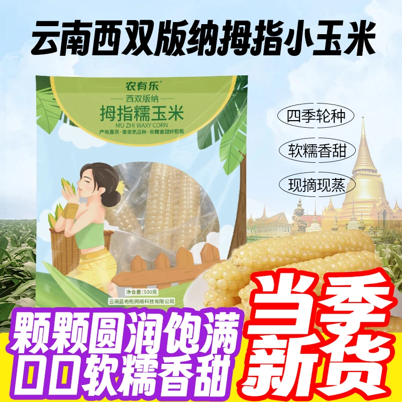 云南西双版纳当季拇指糯玉米甜玉米白甜软糯真空独立玉米