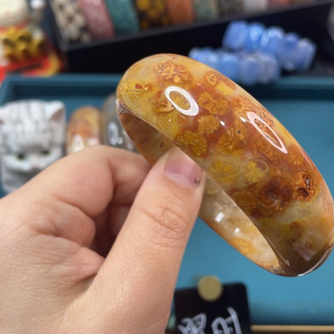 未镶嵌手镯硅化玉