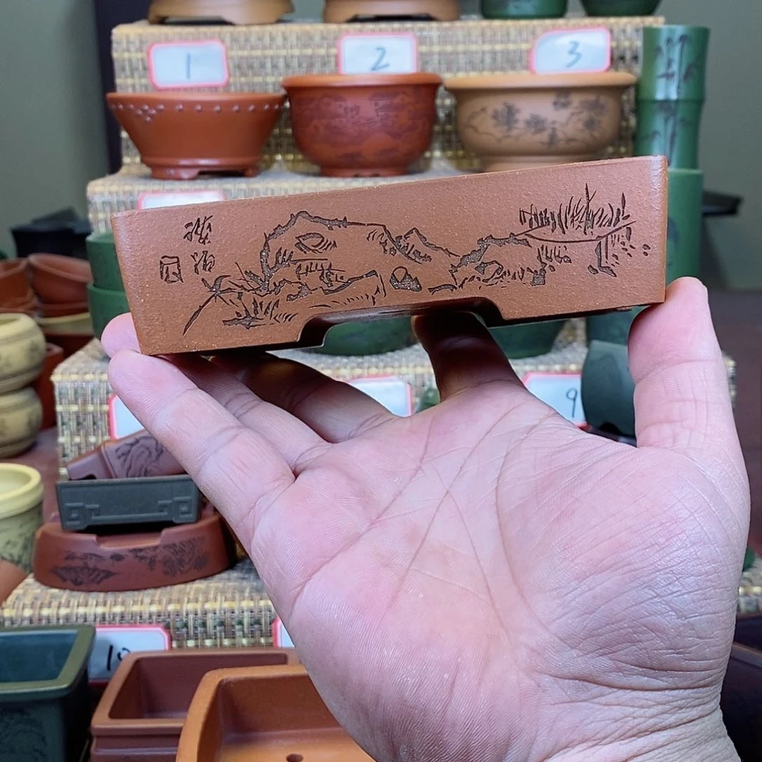 紫砂花盆你在那干