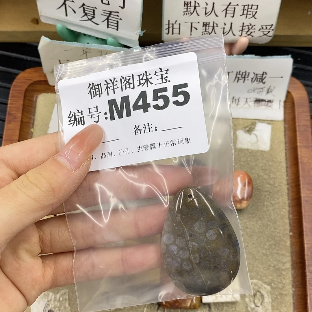 硅化珊瑚（珊瑚玉）未镶嵌颈饰四*