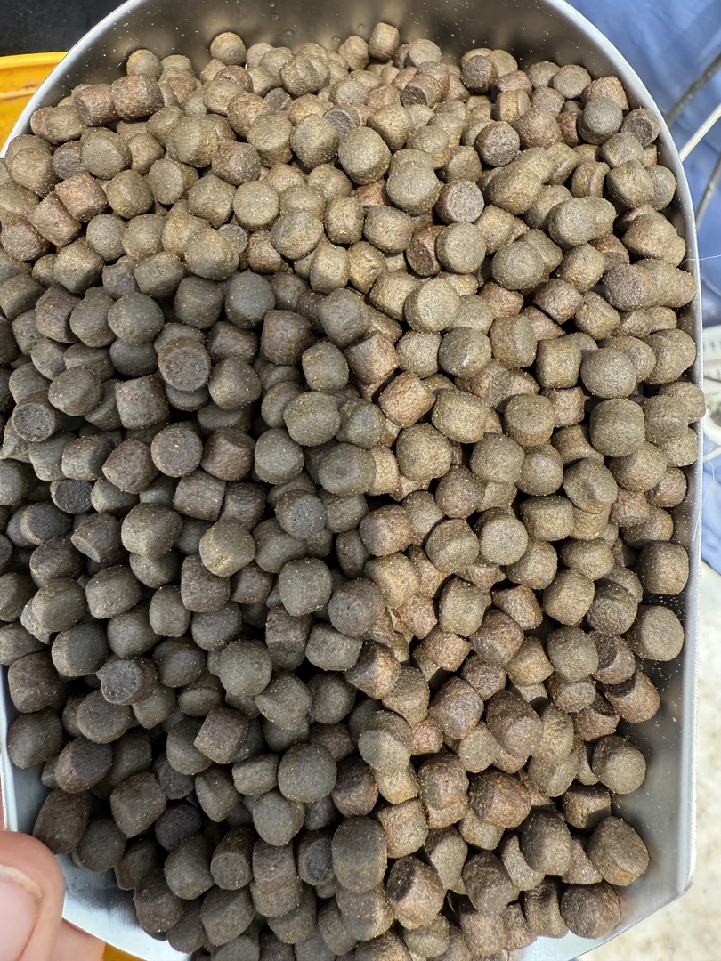 渔场专用饲料（200g）