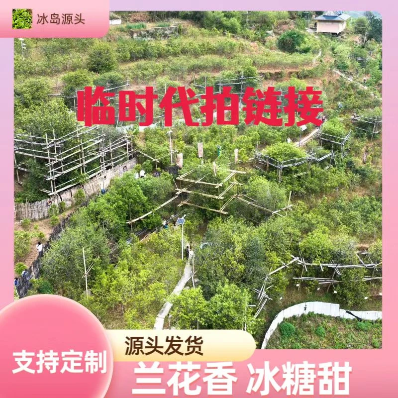 【通用链接普洱茶】以展示实物为准