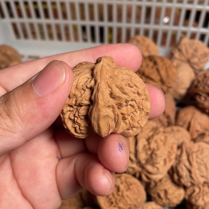 文玩核桃把件中***家核桃