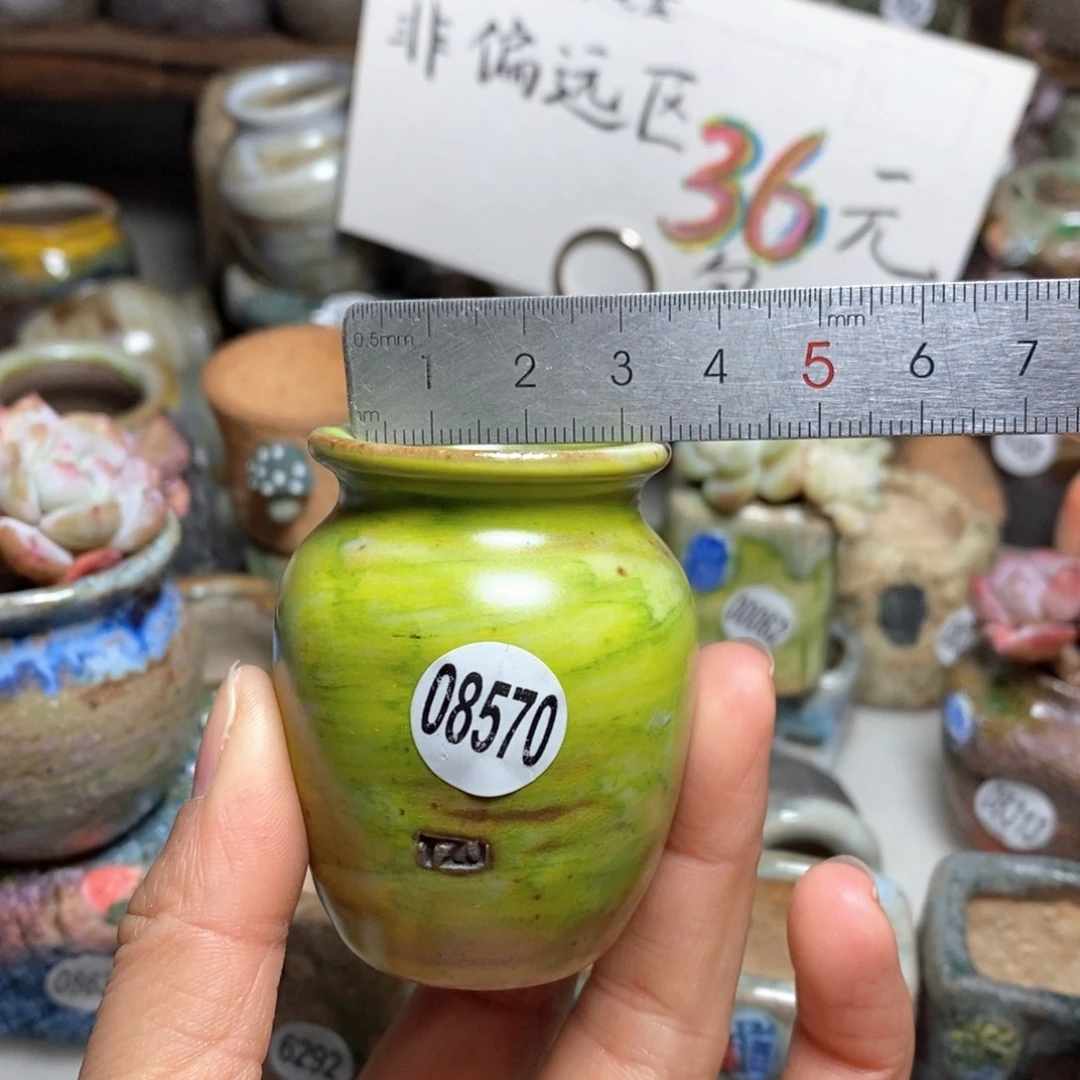 花盆拍5送一个小礼物