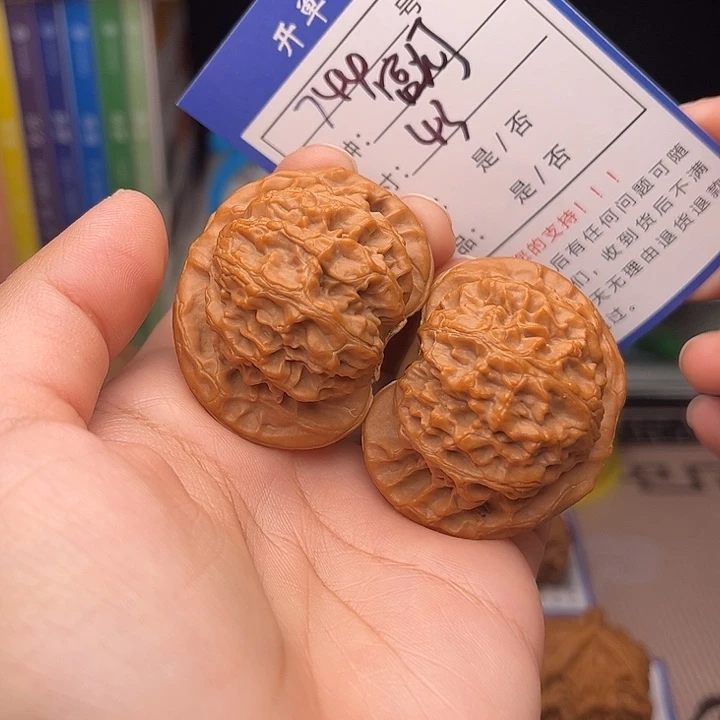 文玩核桃手捻核桃744