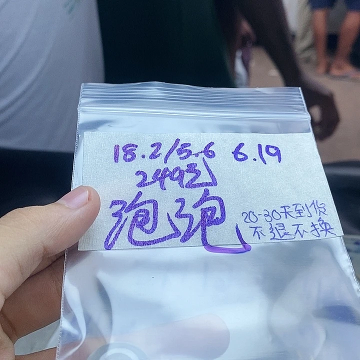 定制翡翠未镶嵌泡**c拍一发一