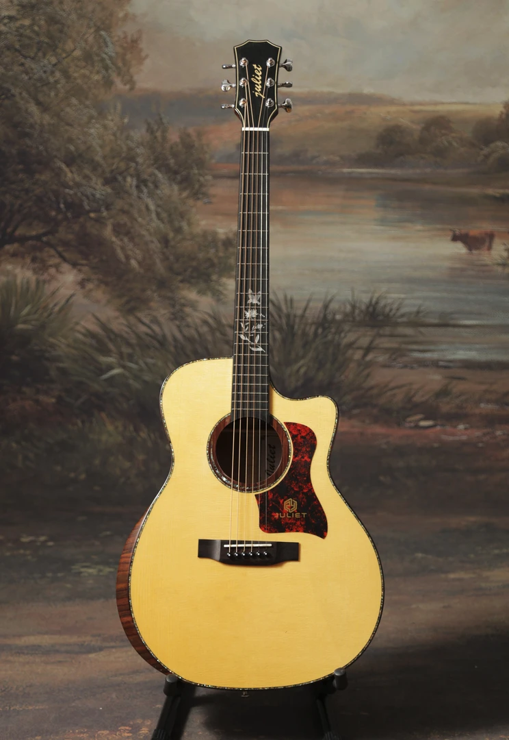 初学入门级精品全单朱丽叶G-80吉他原声电箱款