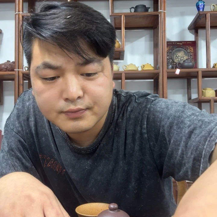 茶壶紫砂4555588888255559