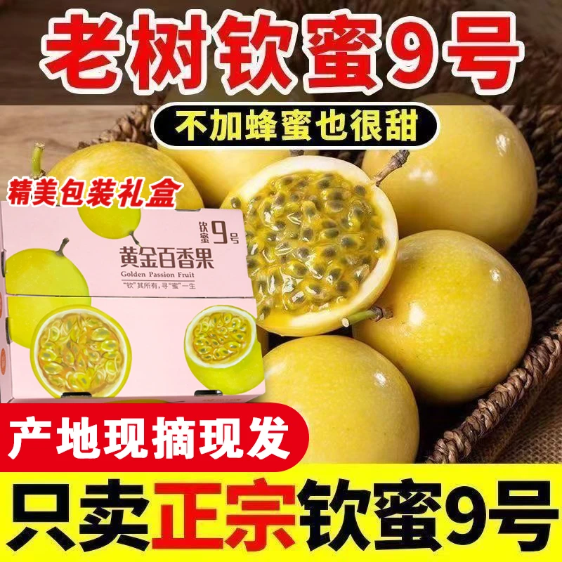 顺丰包邮-市场优选果【礼盒装】百香果放皱更甜正宗钦蜜9号海南水果