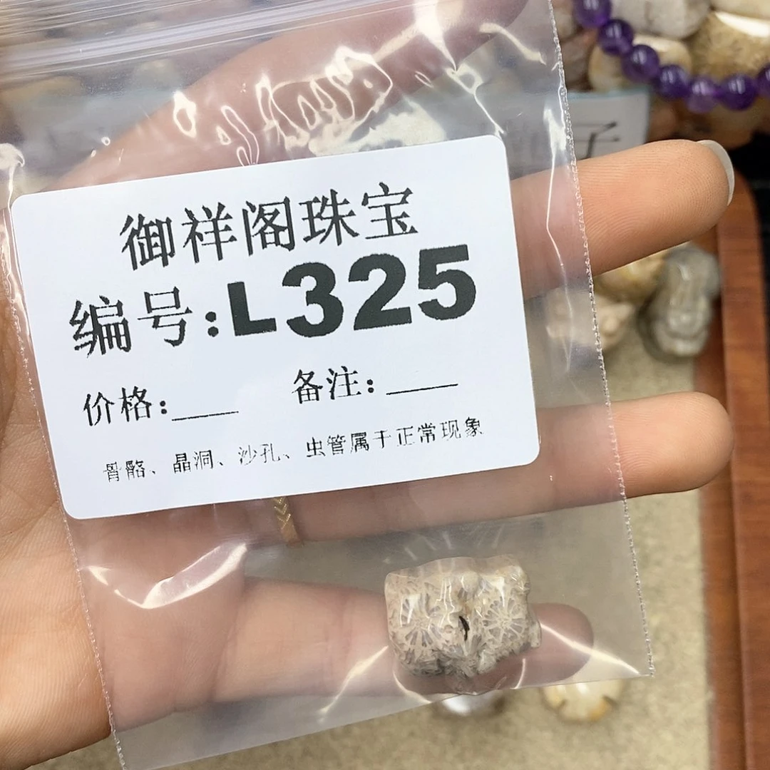 硅化珊瑚（珊瑚玉）n未镶嵌珍**康