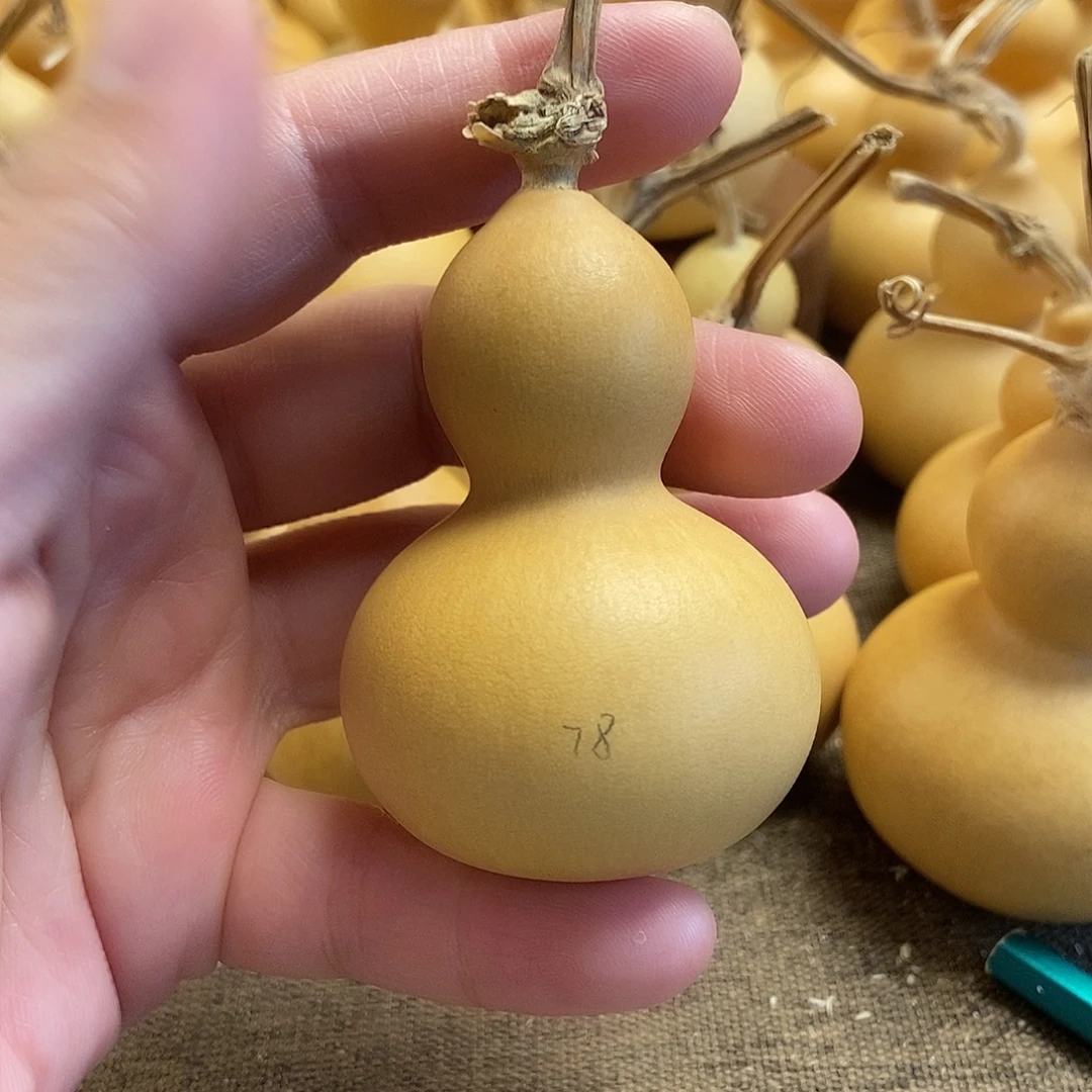 文玩葫芦 完美主义者 慎拍78