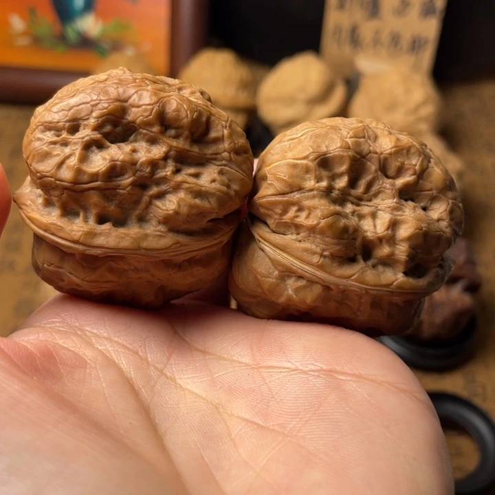 狼***影云南野生铁核桃编号77