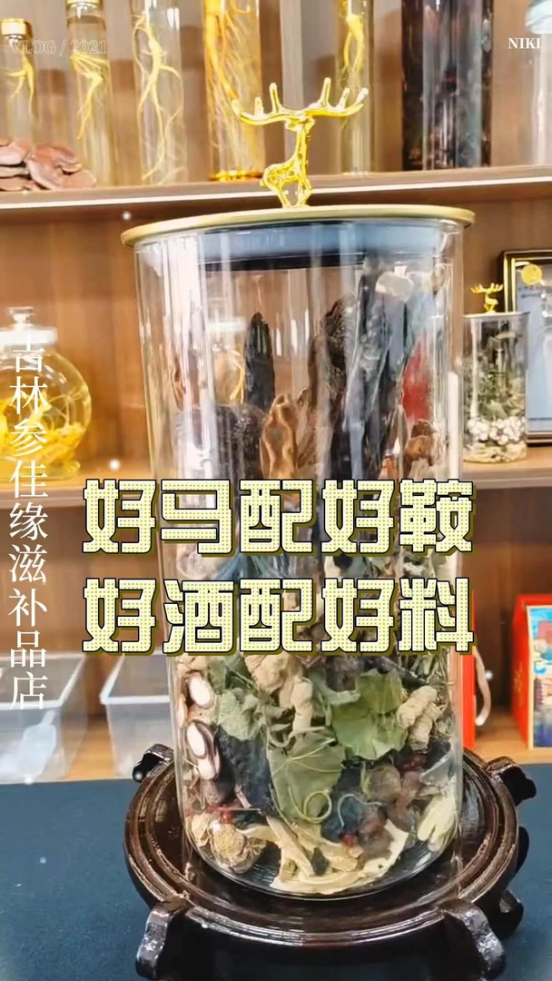 长白山人参 23味 泡酒