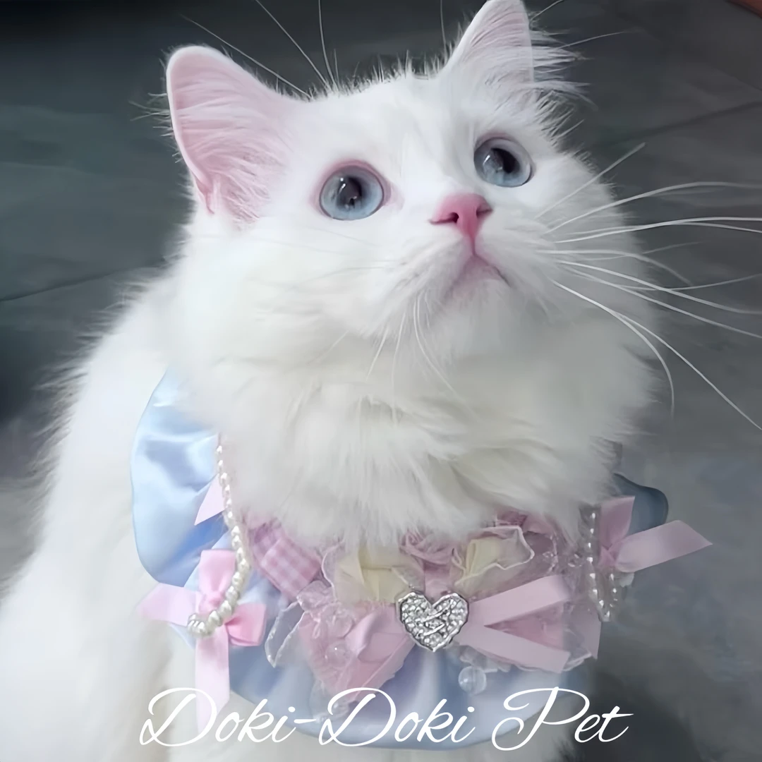 【海派甜心·Doki】可爱多巴胺蕾丝蝴蝶结珍珠宠物围脖猫咪狗狗围兜