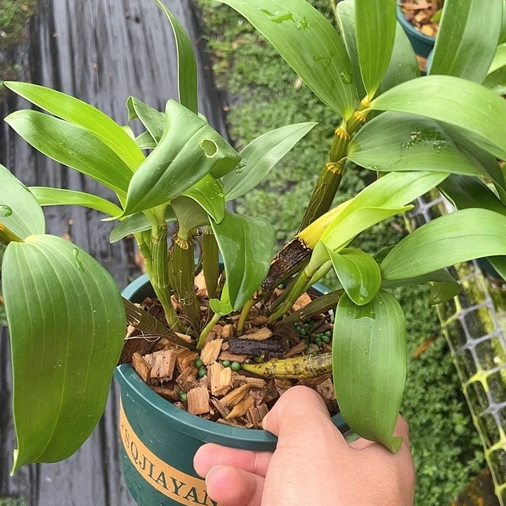 完全开放无需担心